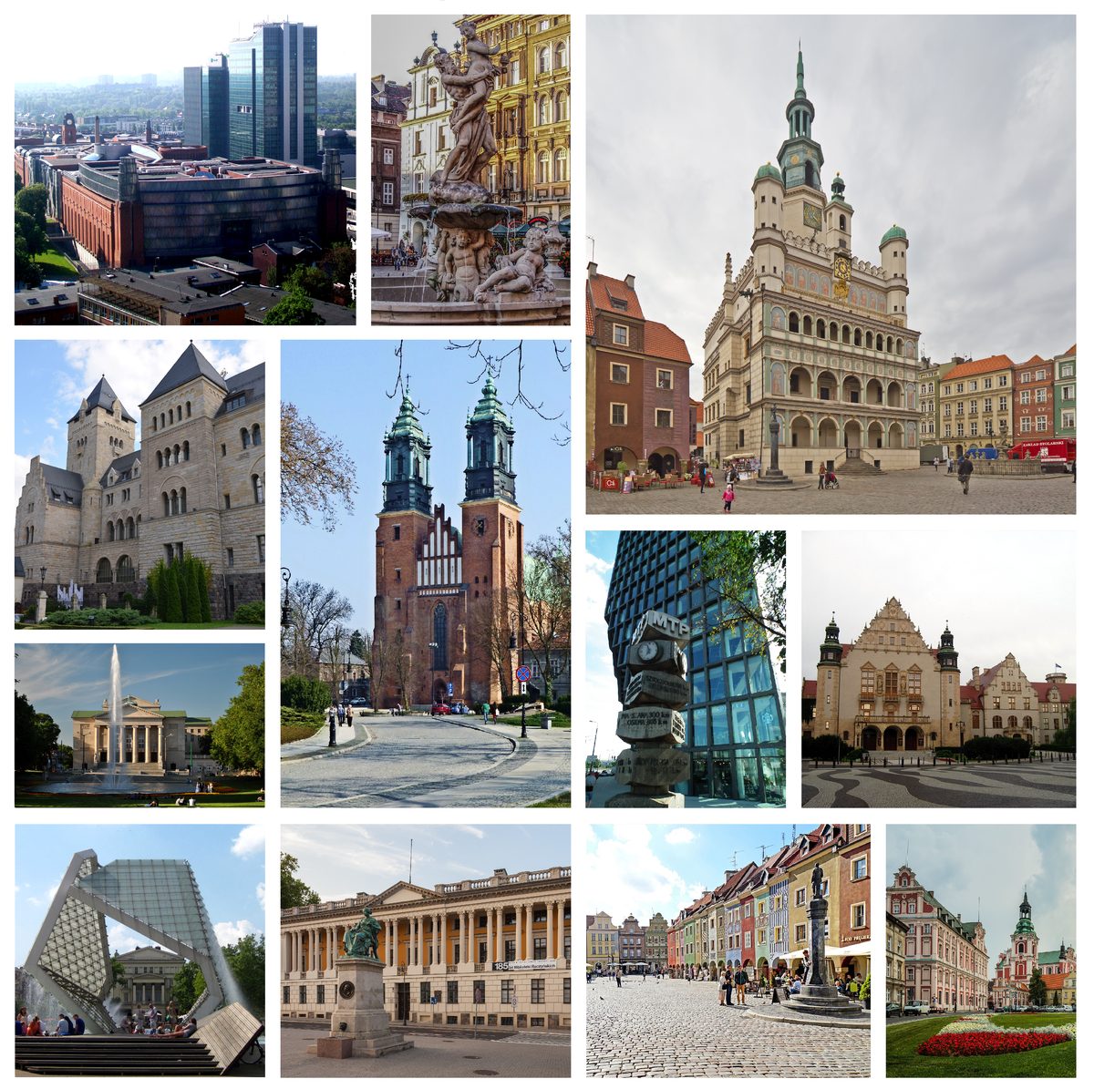 Stary Rynek w Poznaniu – analiza techniki biegu powiat pleszewski, plany treningowe online