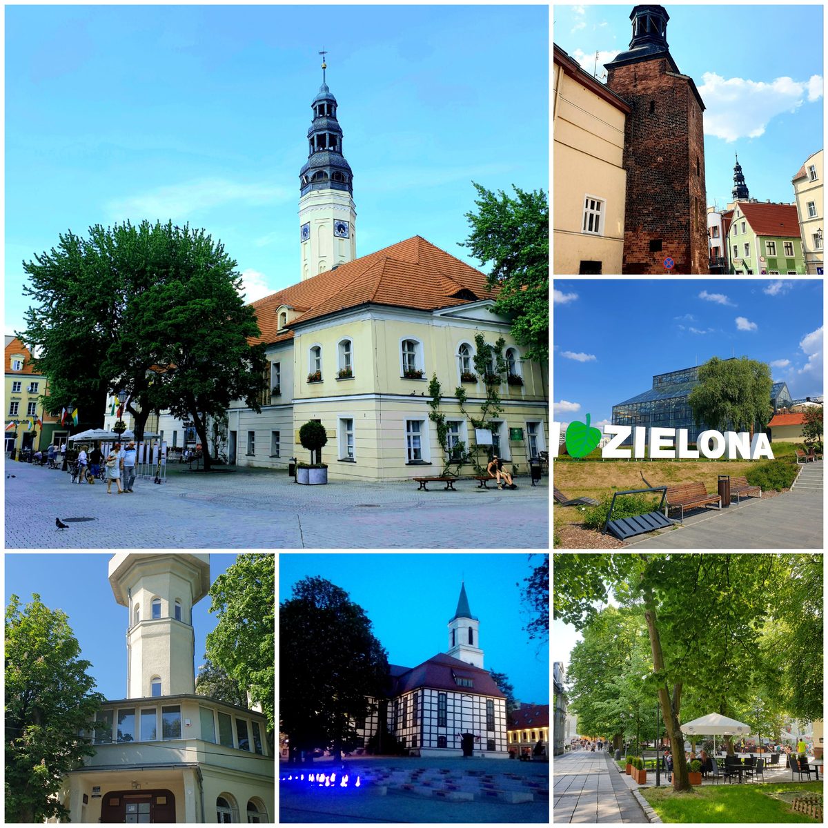 Palmiarnia w Zielonej Górze – analiza techniki biegu Zielona Góra, plany treningowe online