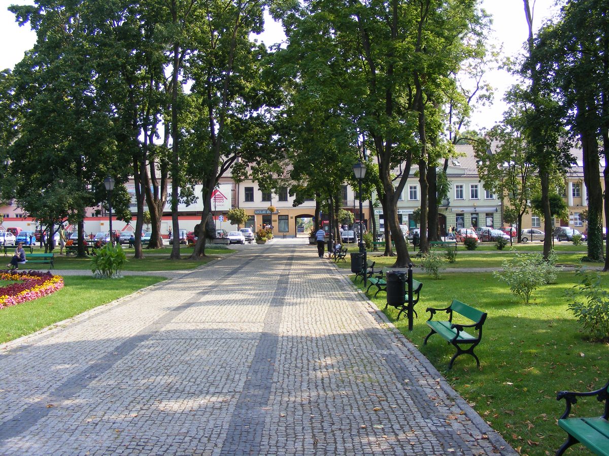 Park Konstytucji 3 Maja w Suwałkach – analiza techniki biegu Suwałki, plany treningowe online