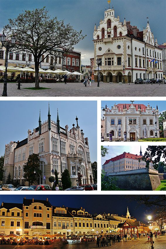 Rynek w Rzeszowie – plan treningowy online Rzeszów, plany treningowe online